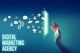 Universal Profile Card Sale Agency